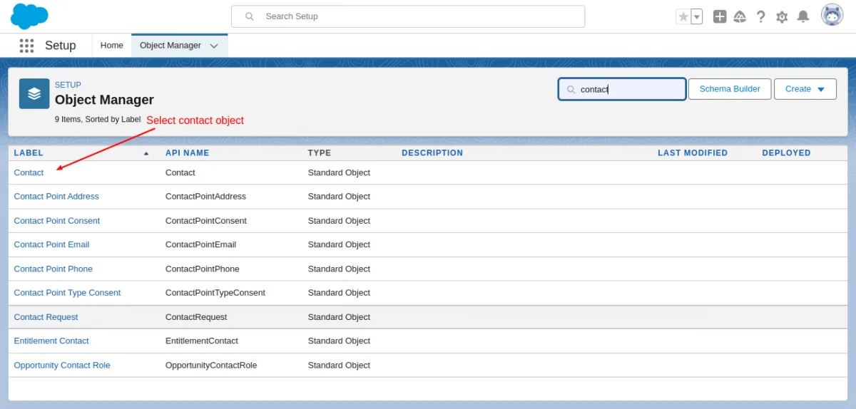 salesforce contact object