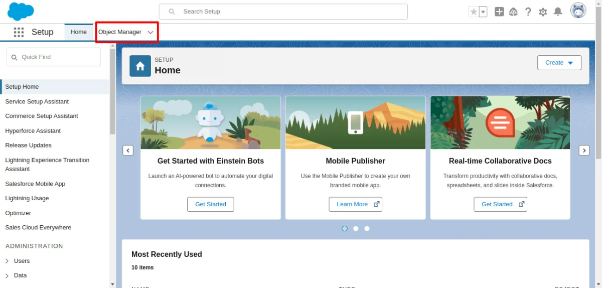 salesforce object manager