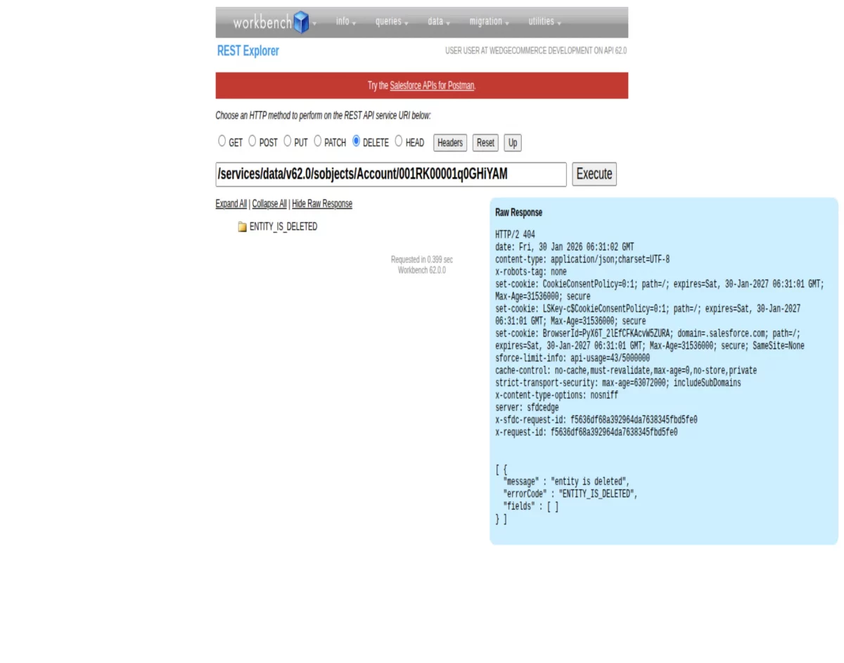 delete records through workbench