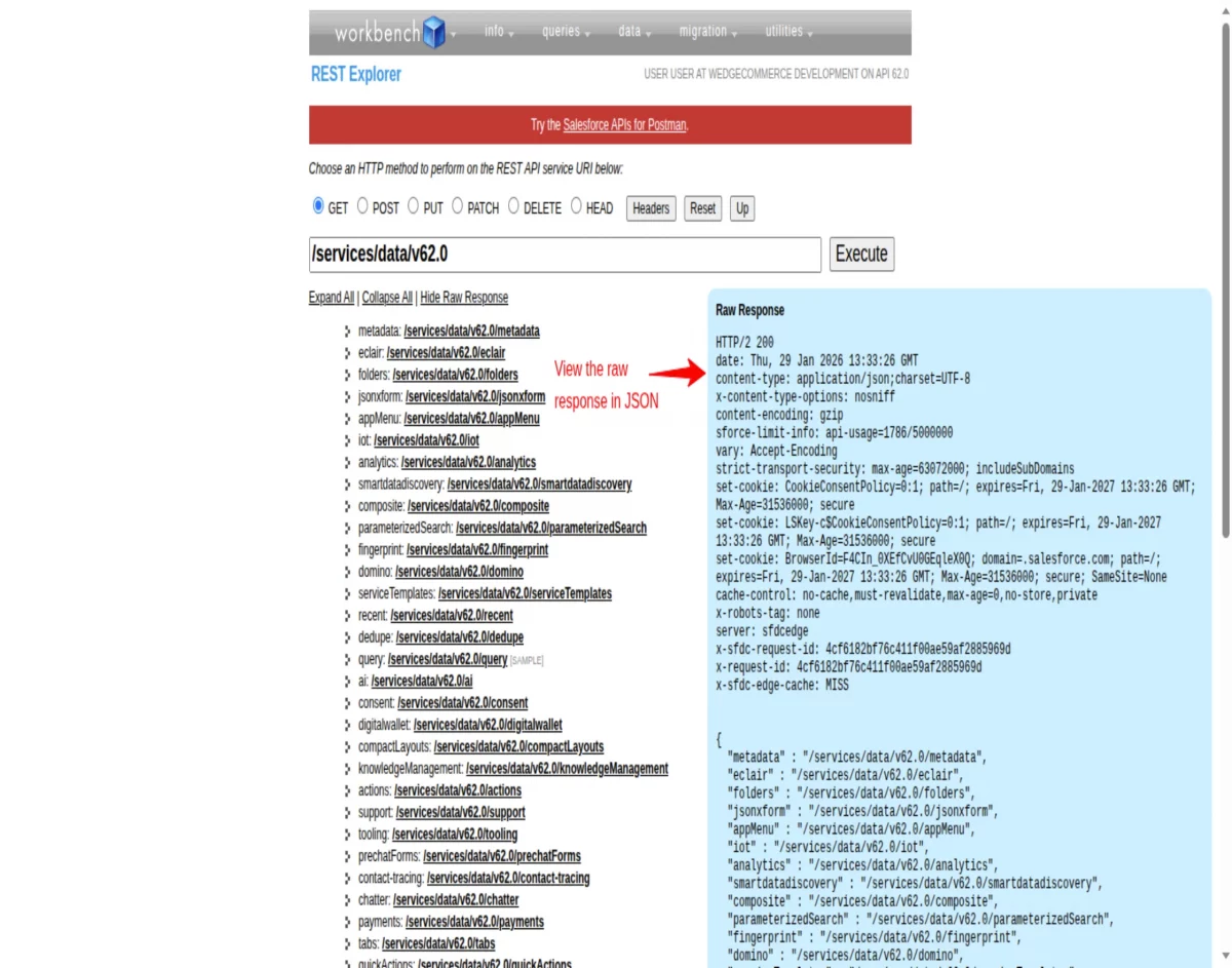 rest api in salesforce