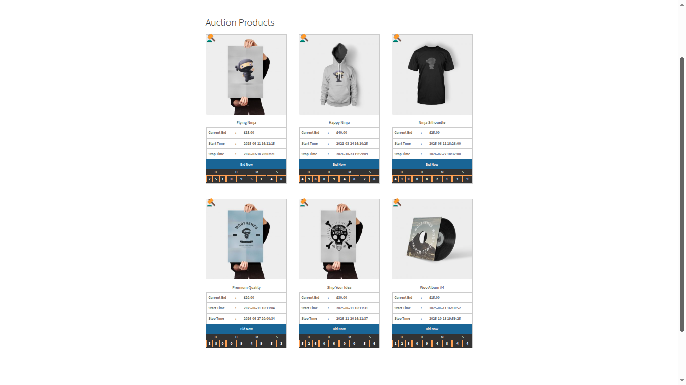 auction-product-page