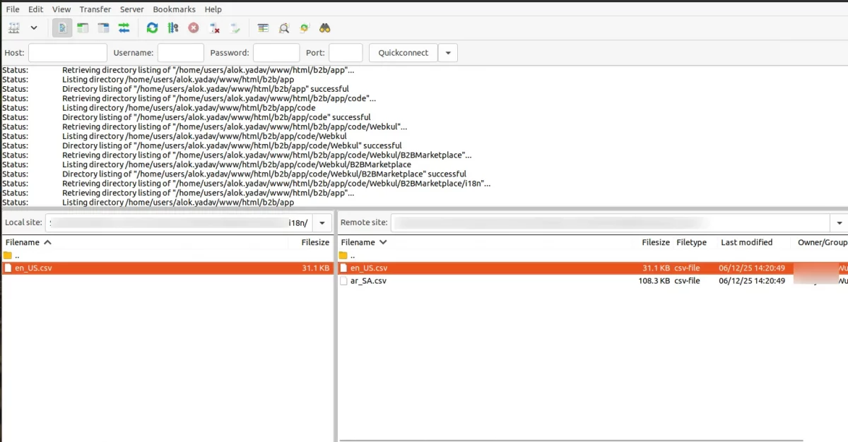language translation