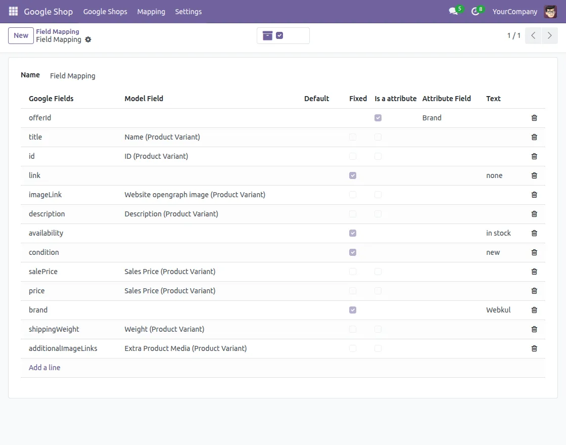 google-field-mapping