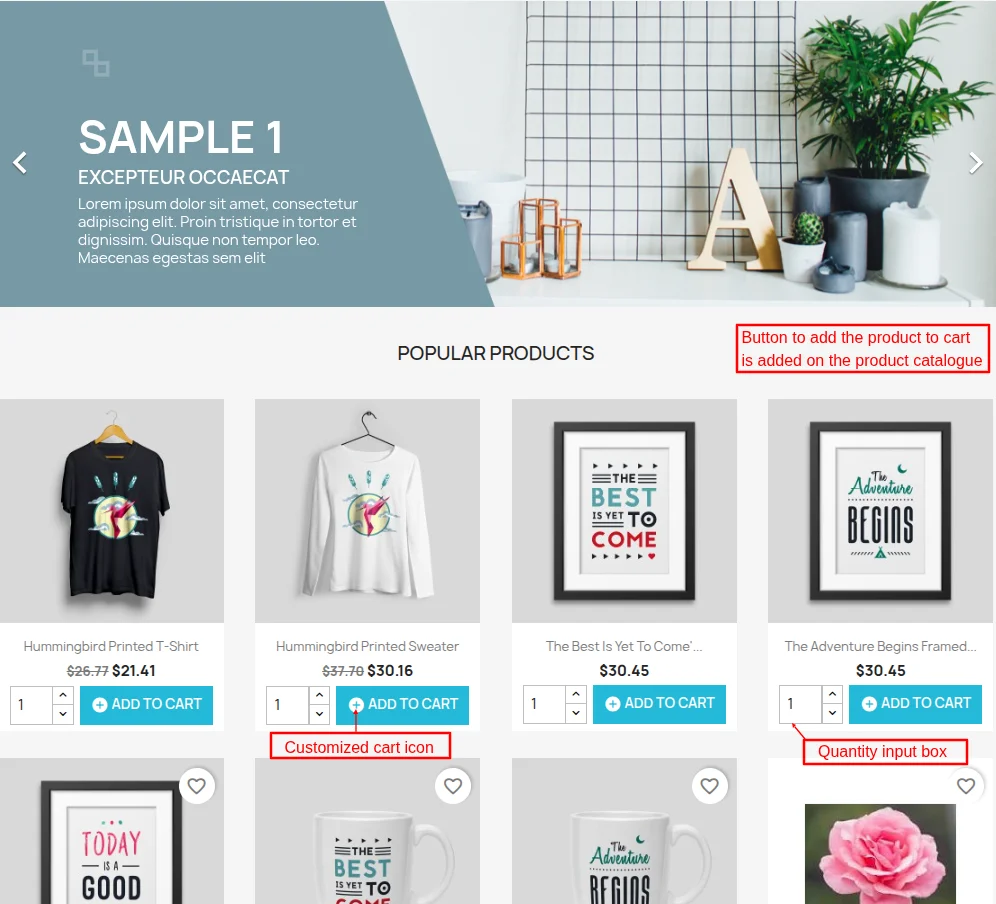 product-page