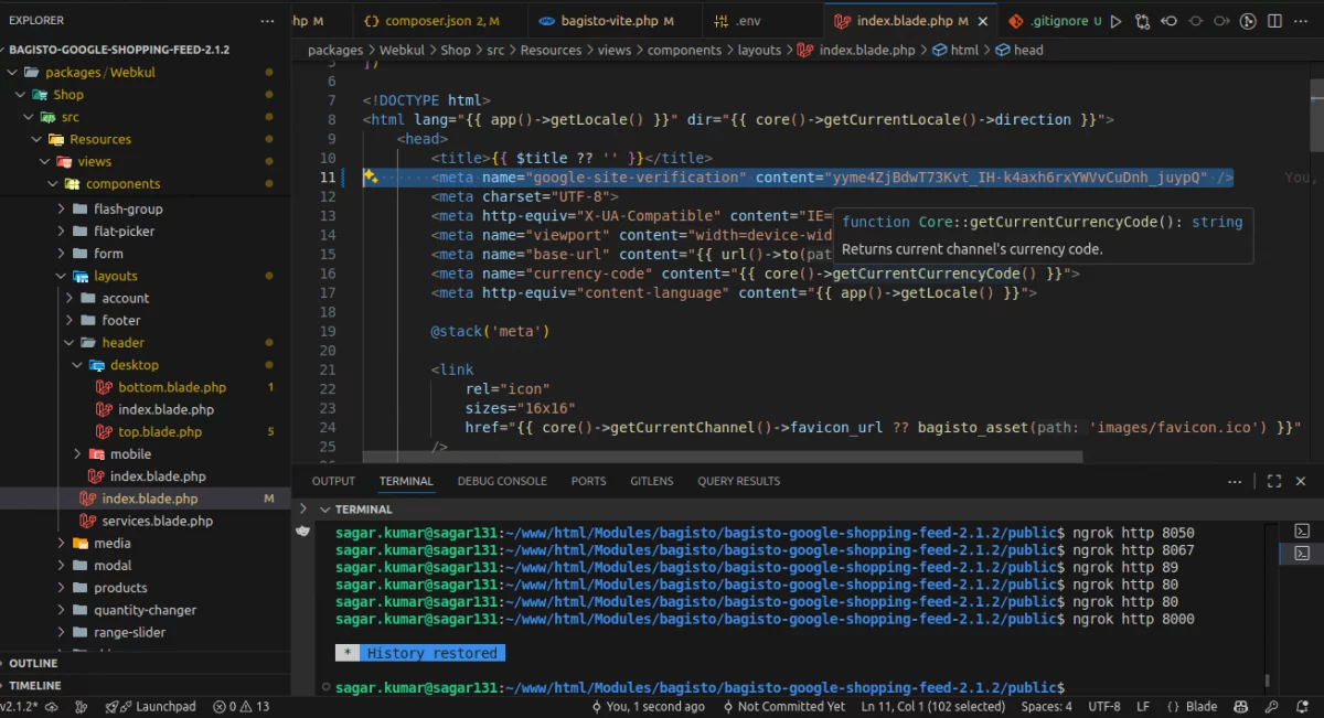 Bagisto Google Shopping Feed