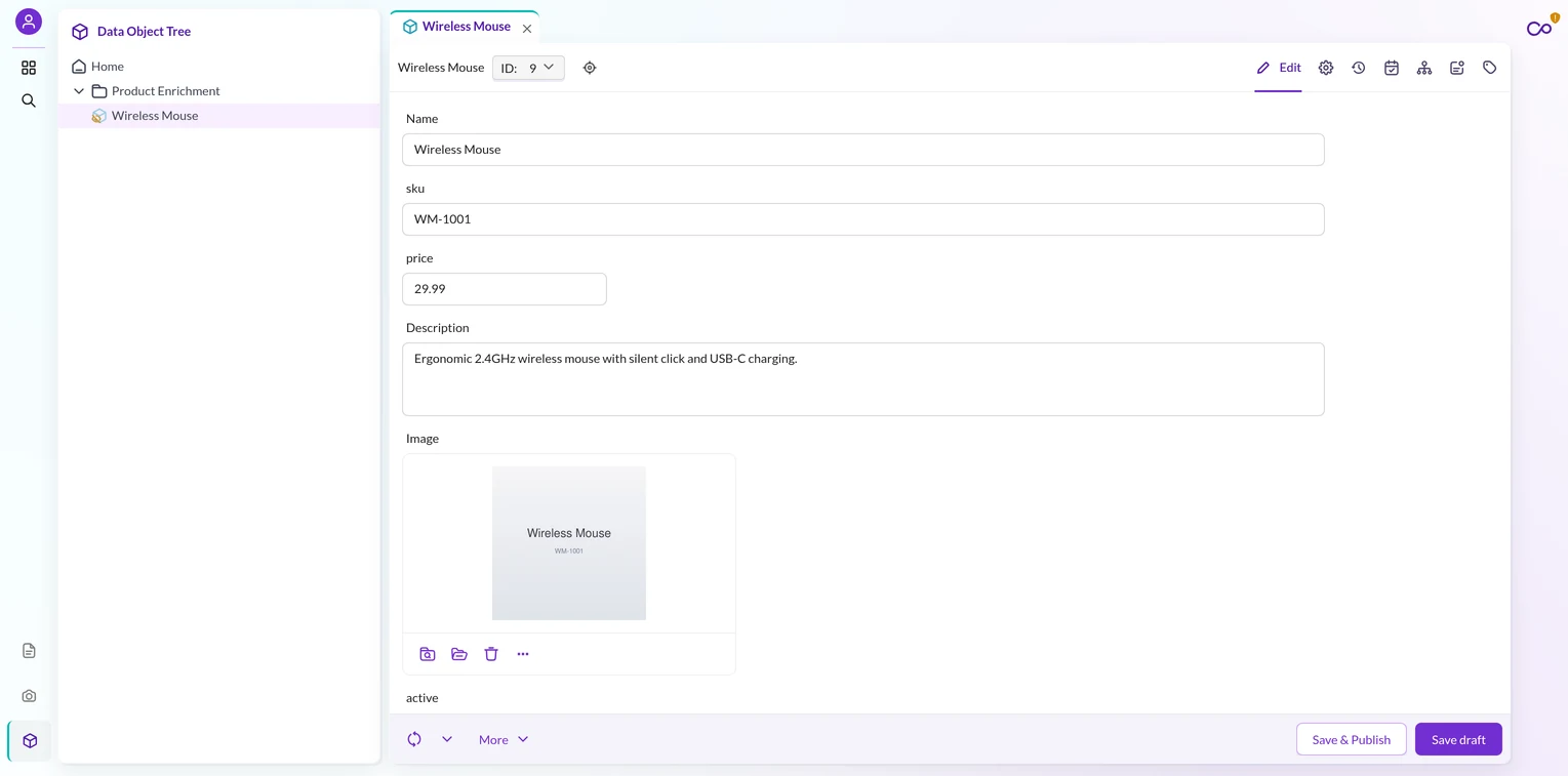 pimcore-data-object-editor-publish