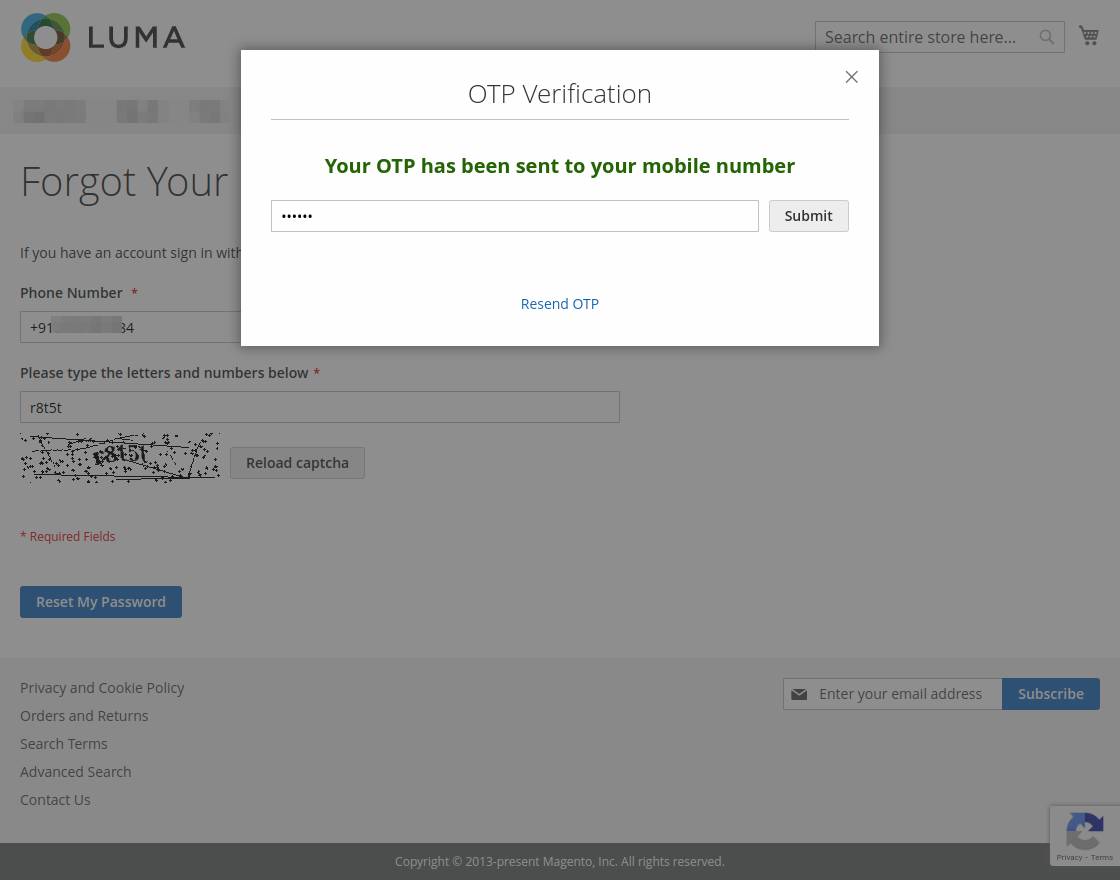 magento234.vachak.com_ee2466_pub_customer_account_forgotpassword_screenshot-3