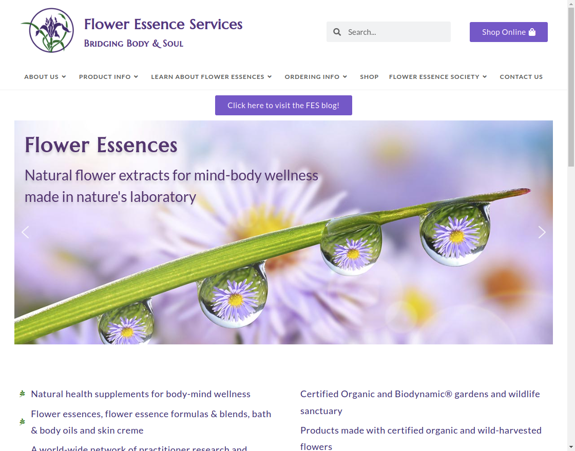 flower-essence-website-image