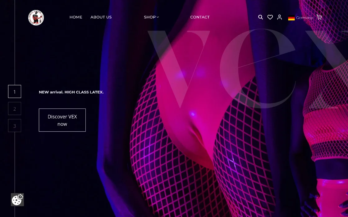 kinky-shiny-store-case-study-homepage