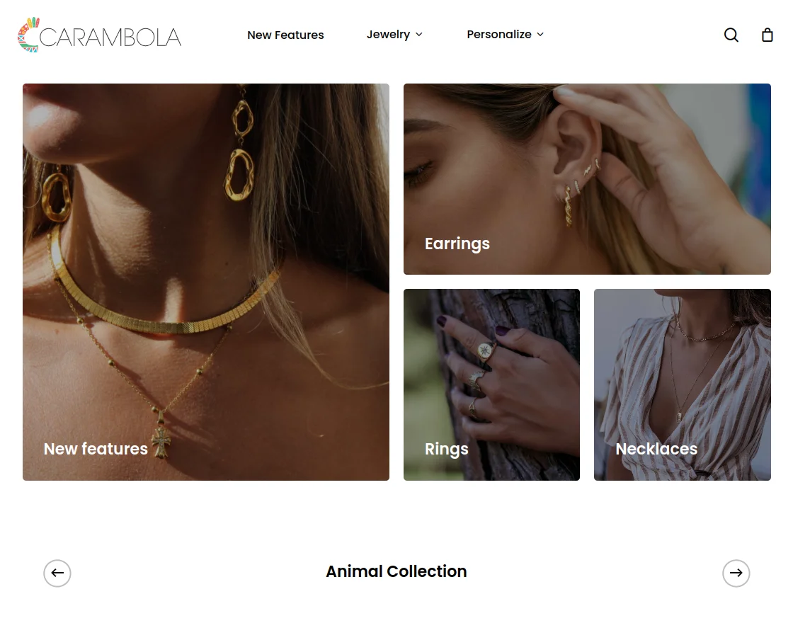 carambola-case-study-store