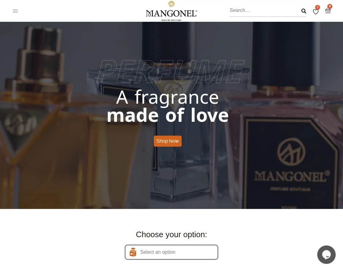 mangoneljo-case-study-store