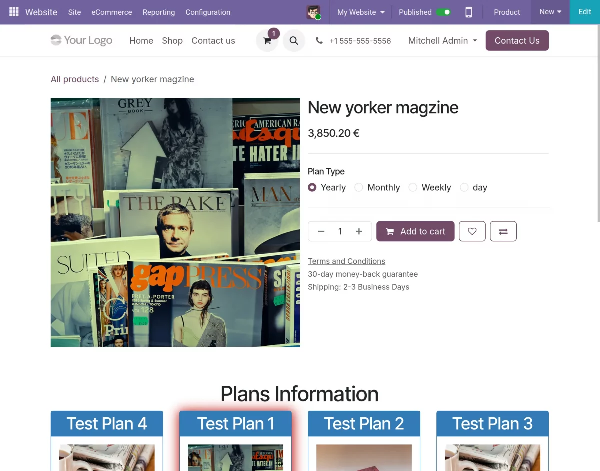 choose subscription period