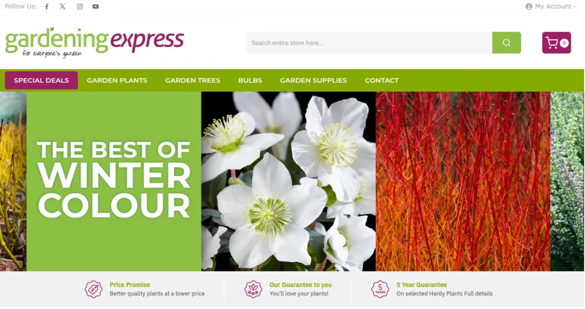 gardening-express-homepage-case-study