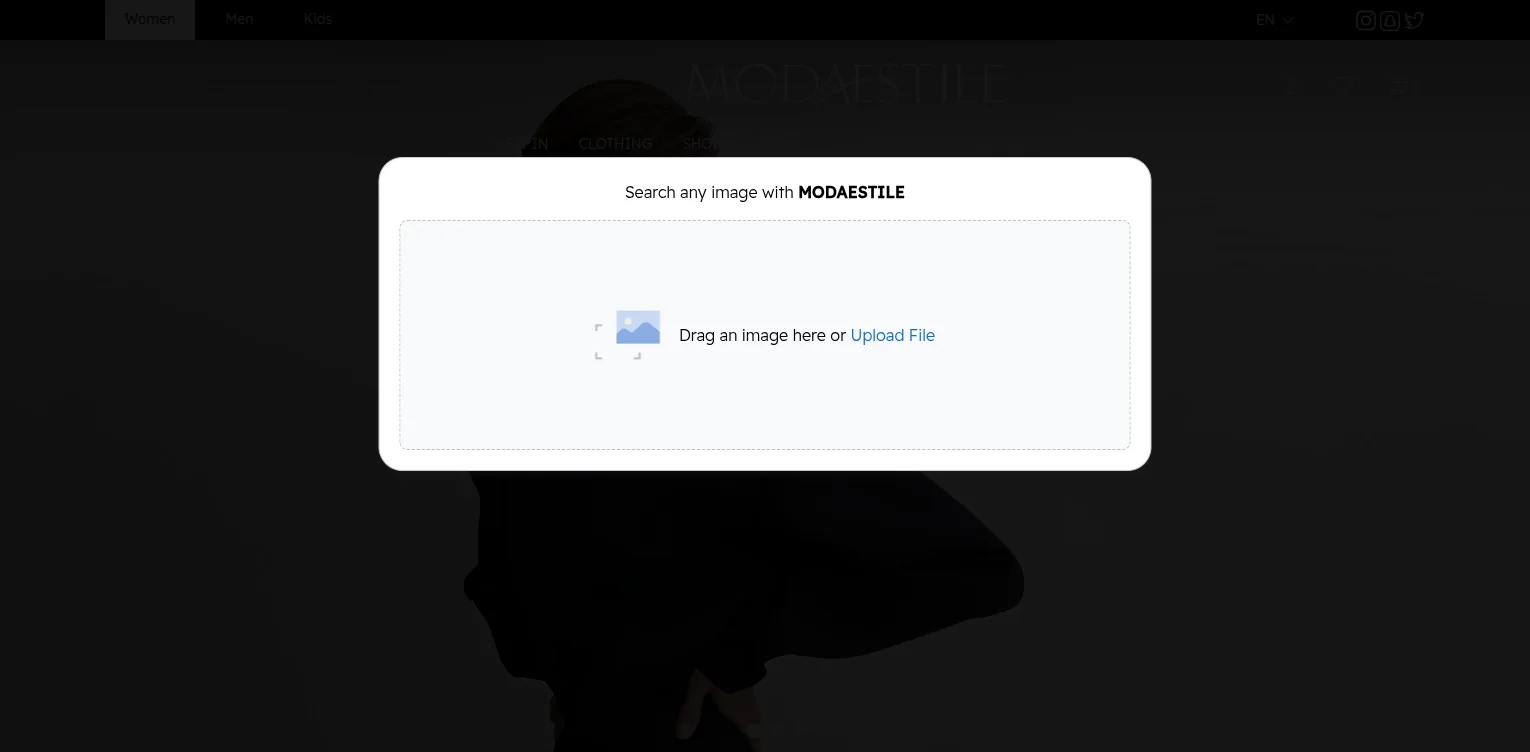 MODAESTILE case-study-solution