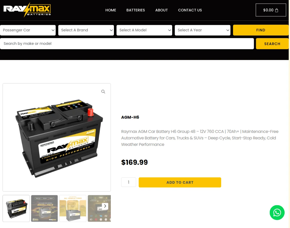raymaxbatteries-case-study-solution