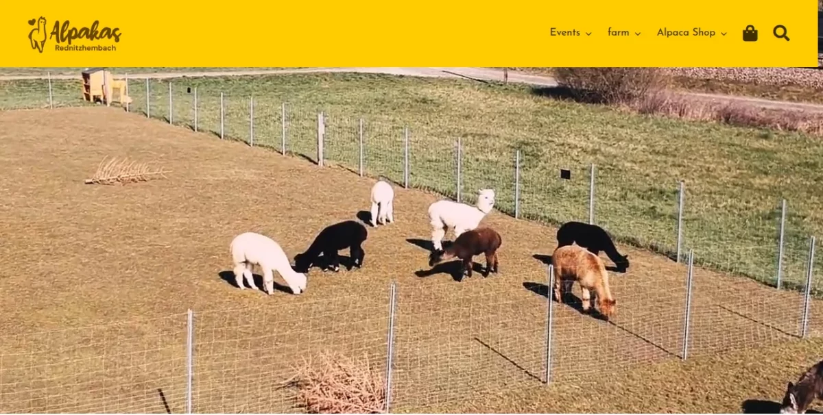 alpacas-home-alpacas-rednitzhembach-homepage