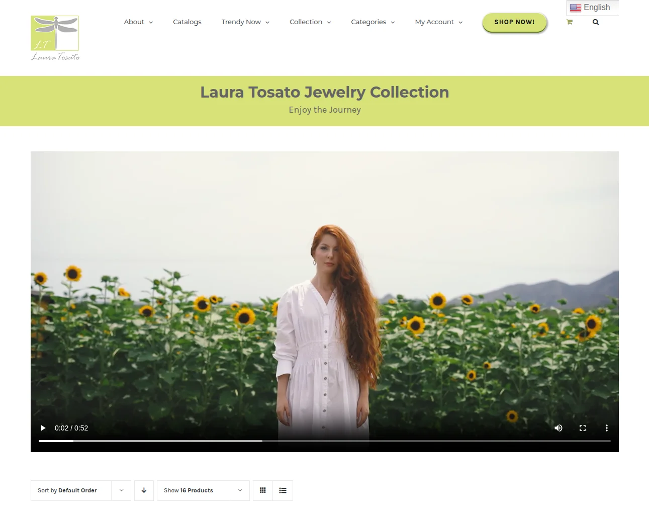 laura-tosato-case-study-homepage