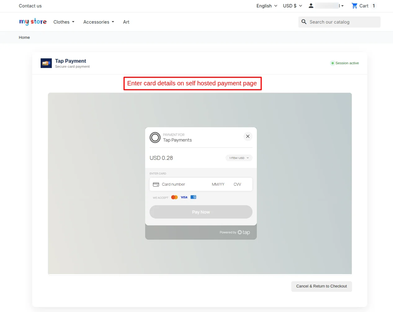 Enter card details on self hosted payment page