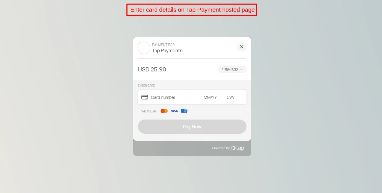 Enter card details on Tap payment Hosted Page