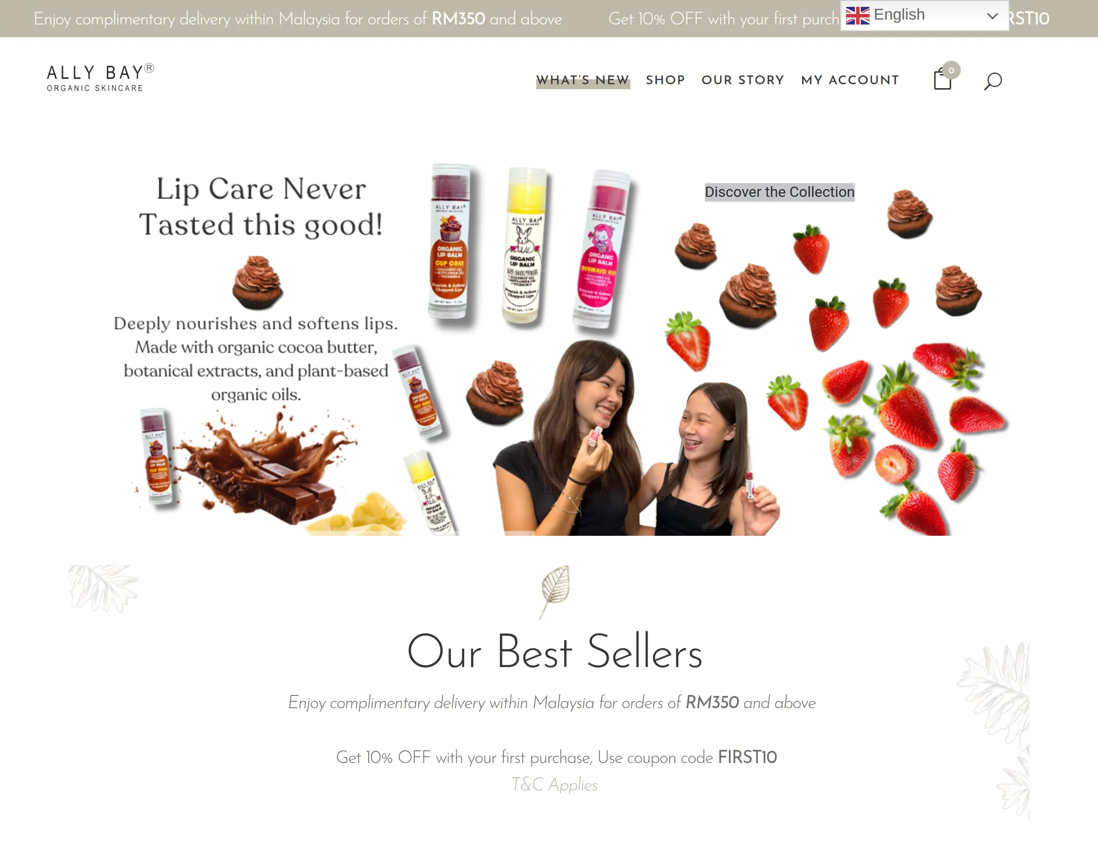 allybay-case-study-homepage