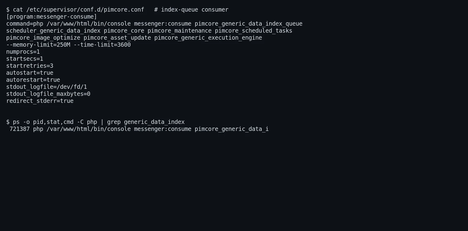 pimcore-reindex-supervisor-consumer