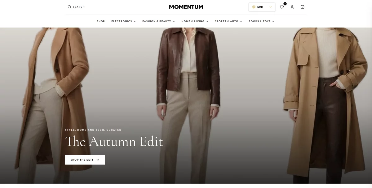 Momentum theme Home Page