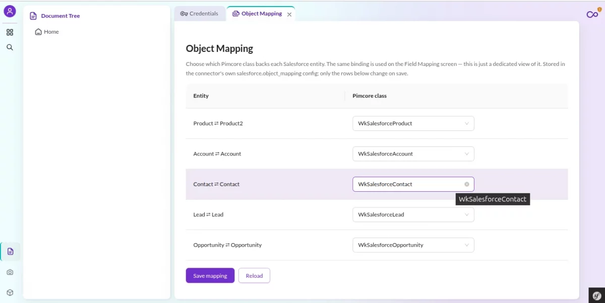 salesforece object mapping